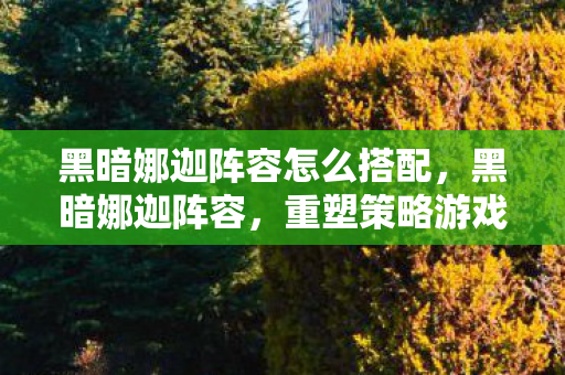 黑暗娜迦阵容怎么搭配，黑暗娜迦阵容，重塑策略游戏的巅峰