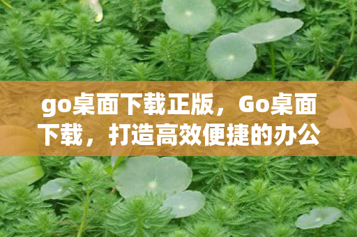 go桌面下载正版，Go桌面下载，打造高效便捷的办公新体验