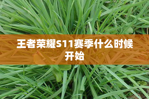 王者荣耀S11赛季什么时候开始