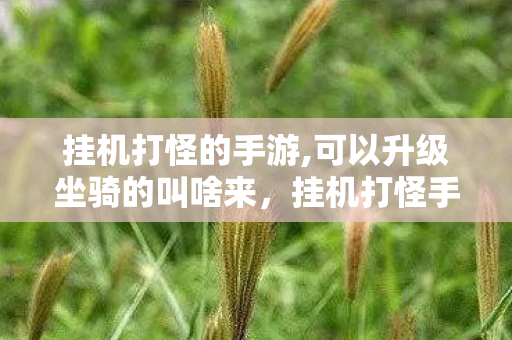 挂机打怪的手游,可以升级坐骑的叫啥来,挂机打怪手游,轻松娱乐,还是时间黑洞? 挂机打怪的手游,可以升级坐骑的叫啥来,挂机打怪手游,轻松娱乐,还是时间黑洞?