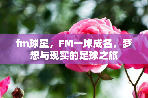 fm球星，FM一球成名，梦想与现实的足球之旅
