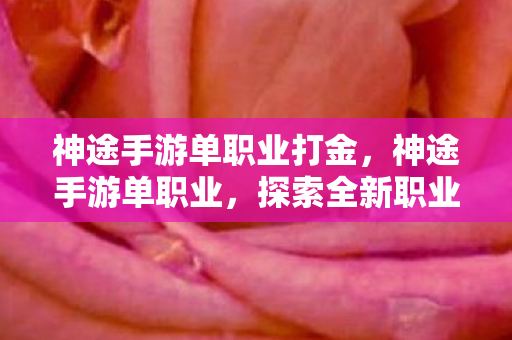 神途手游单职业打金，神途手游单职业，探索全新职业体验