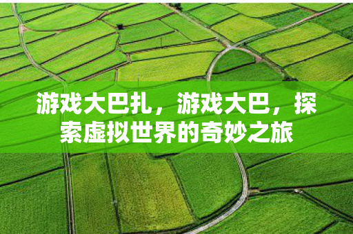 游戏大巴扎，游戏大巴，探索虚拟世界的奇妙之旅