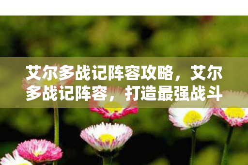 艾尔多战记阵容攻略，艾尔多战记阵容，打造最强战斗团队