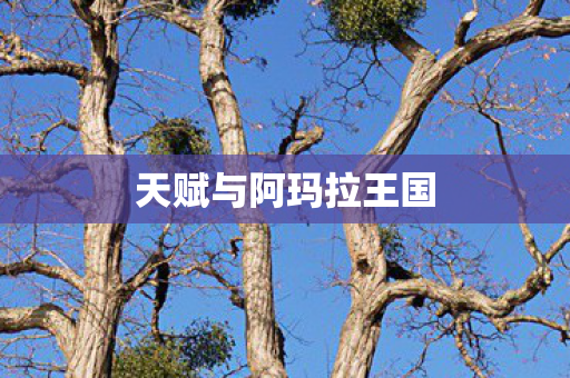 天赋与阿玛拉王国