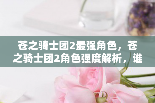 苍之骑士团2最强角色，苍之骑士团2角色强度解析，谁是真正的战场之星？