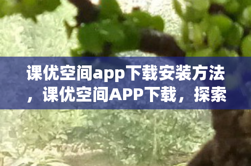 课优空间app下载安装方法,课优空间APP下载,探索高效学习新境界 课优空间app下载安装方法,课优空间APP下载,探索高效学习新境界