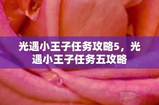 光遇小王子任务攻略5，光遇小王子任务五攻略