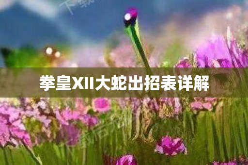 拳皇XII大蛇出招表详解