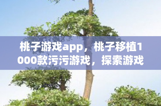 桃子游戏app，桃子移植1000款污污游戏，探索游戏世界的无限可能