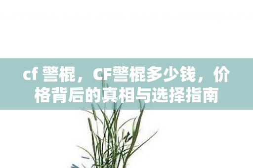 cf 警棍，CF警棍多少钱，价格背后的真相与选择指南