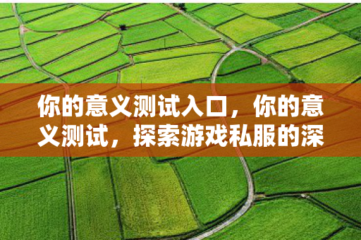 你的意义测试入口，你的意义测试，探索游戏私服的深层价值