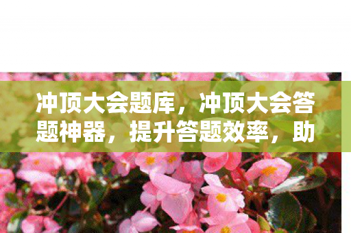 冲顶大会题库,冲顶大会答题神器,提升答题效率,助你成为答题王者 冲顶大会题库,冲顶大会答题神器,提升答题效率,助你成为答题王者