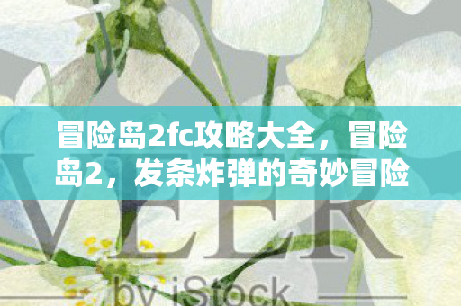 冒险岛2fc攻略大全，冒险岛2，发条炸弹的奇妙冒险