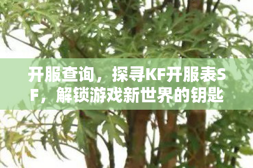 开服查询,探寻KF开服表SF,解锁游戏新世界的钥匙 开服查询,探寻KF开服表SF,解锁游戏新世界的钥匙