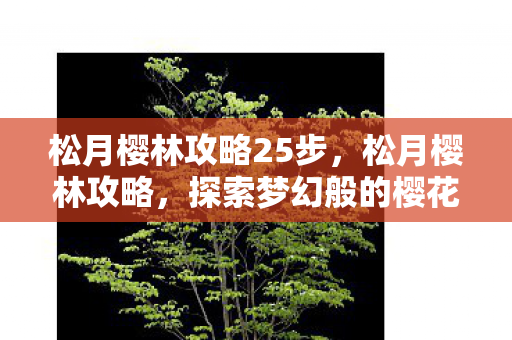 松月樱林攻略25步，松月樱林攻略，探索梦幻般的樱花秘境