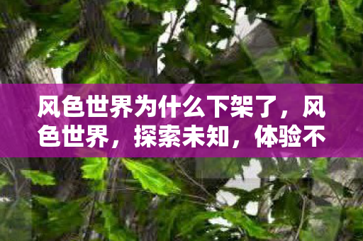 风色世界为什么下架了,风色世界,探索未知,体验不一样的奇幻之旅 风色世界为什么下架了,风色世界,探索未知,体验不一样的奇幻之旅