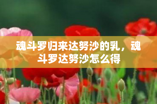 魂斗罗归来达努沙的乳,魂斗罗达努沙怎么得 魂斗罗归来达努沙的乳,魂斗罗达努沙怎么得