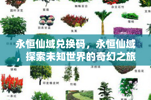 永恒仙域兑换码，永恒仙域，探索未知世界的奇幻之旅