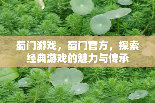蜀门游戏，蜀门官方，探索经典游戏的魅力与传承