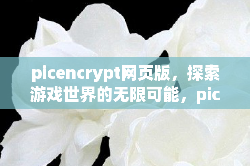 picencrypt网页版，探索游戏世界的无限可能，picencrypt带来的全新游戏体验