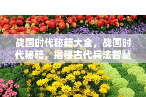 战国时代秘籍大全，战国时代秘籍，揭秘古代兵法智慧与现代商业应用