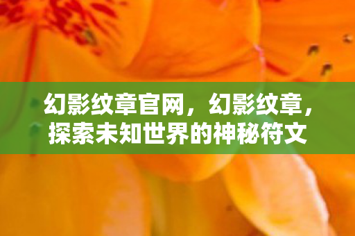 幻影纹章官网，幻影纹章，探索未知世界的神秘符文