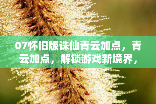 07怀旧版诛仙青云加点,青云加点,解锁游戏新境界,打造个性化角色 07怀旧版诛仙青云加点,青云加点,解锁游戏新境界,打造个性化角色