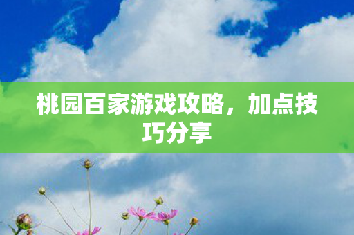 桃园百家游戏攻略，加点技巧分享