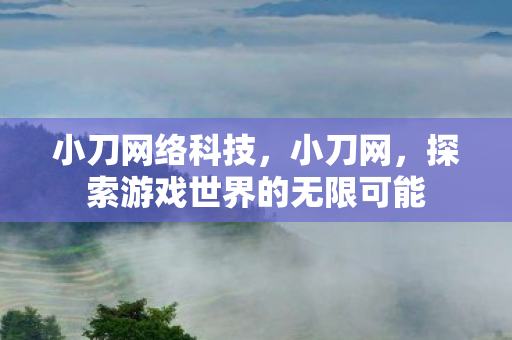 小刀网络科技，小刀网，探索游戏世界的无限可能