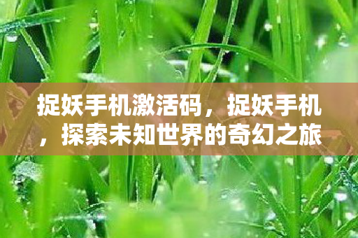 捉妖手机激活码，捉妖手机，探索未知世界的奇幻之旅