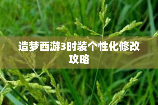 造梦西游3时装个性化修改攻略 造梦西游3时装个性化修改攻略