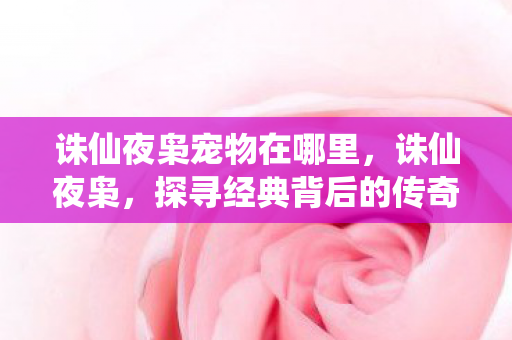 诛仙夜枭宠物在哪里,诛仙夜枭,探寻经典背后的传奇故事 诛仙夜枭宠物在哪里,诛仙夜枭,探寻经典背后的传奇故事