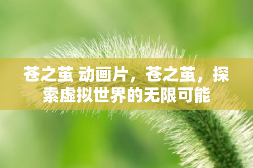 苍之茧 动画片，苍之茧，探索虚拟世界的无限可能