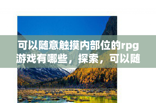 可以随意触摸内部位的rpg游戏有哪些，探索，可以随意触摸内部位的RPG游戏