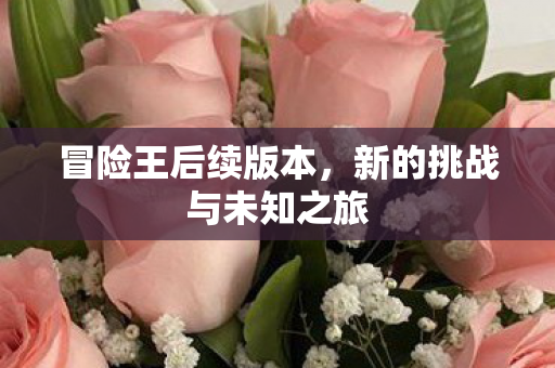 冒险王后续版本，新的挑战与未知之旅