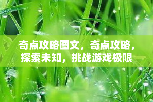 奇点攻略图文,奇点攻略,探索未知,挑战游戏极限 奇点攻略图文,奇点攻略,探索未知,挑战游戏极限