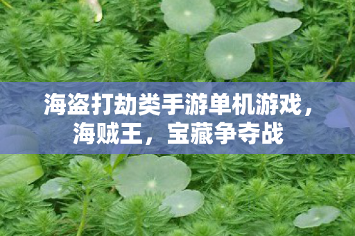 海盗打劫类手游单机游戏，海贼王，宝藏争夺战