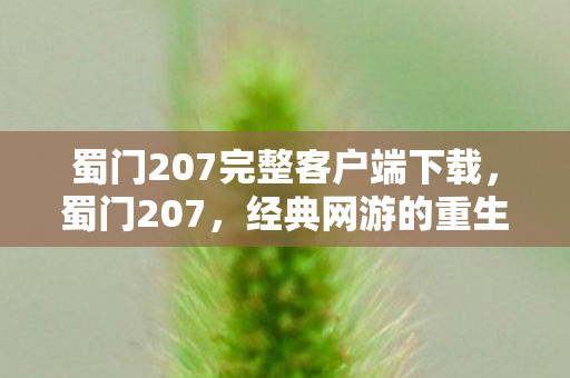 蜀门207完整客户端下载，蜀门207，经典网游的重生与传承