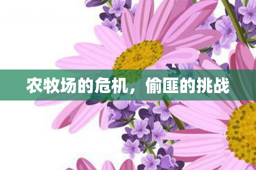 农牧场的危机，偷匪的挑战