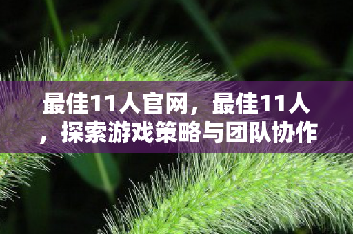 最佳11人官网,最佳11人,探索游戏策略与团队协作的奥秘 最佳11人官网,最佳11人,探索游戏策略与团队协作的奥秘