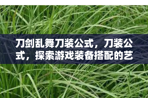 刀剑乱舞刀装公式，刀装公式，探索游戏装备搭配的艺术
