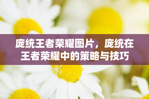 庞统王者荣耀图片,庞统在王者荣耀中的策略与技巧 庞统王者荣耀图片,庞统在王者荣耀中的策略与技巧