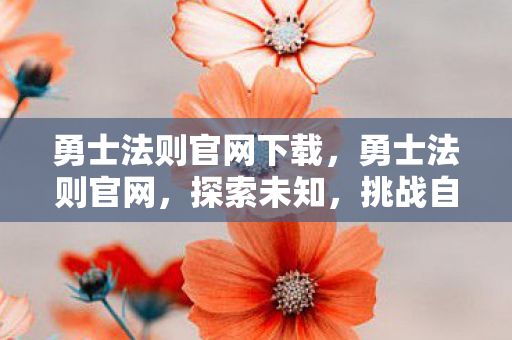 勇士法则官网下载，勇士法则官网，探索未知，挑战自我，成为真正的勇士
