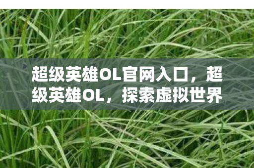 超级英雄OL官网入口，超级英雄OL，探索虚拟世界的无限可能