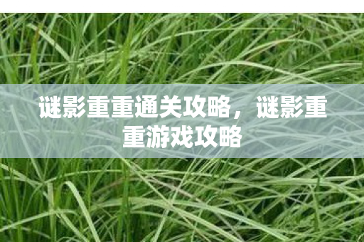 谜影重重通关攻略,谜影重重游戏攻略 谜影重重通关攻略,谜影重重游戏攻略