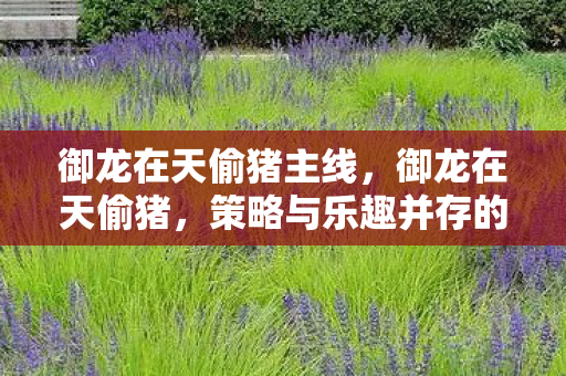 御龙在天偷猪主线,御龙在天偷猪,策略与乐趣并存的经典玩法 御龙在天偷猪主线,御龙在天偷猪,策略与乐趣并存的经典玩法