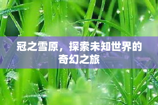 冠之雪原,探索未知世界的奇幻之旅 冠之雪原,探索未知世界的奇幻之旅