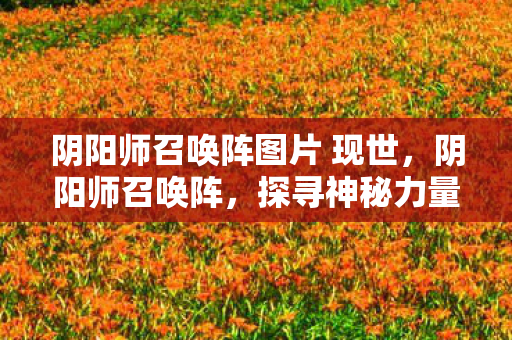 阴阳师召唤阵图片 现世，阴阳师召唤阵，探寻神秘力量的起源