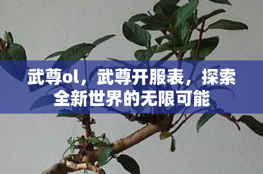 武尊ol，武尊开服表，探索全新世界的无限可能